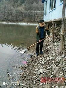 青山湖爆料死者视频,死者视频揭露惊人真相 第3张 青山湖爆料死者视频,死者视频揭露惊人真相 第3张