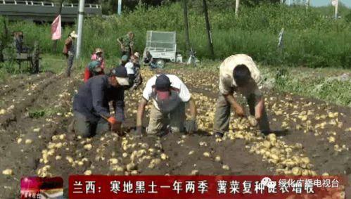 黑土新闻爆料,揭秘事件背后惊人真相 第3张 黑土新闻爆料,揭秘事件背后惊人真相 第3张