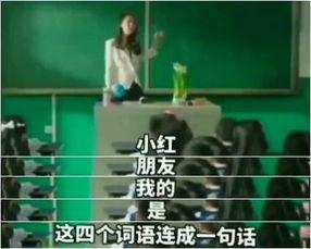 小红老师爆料视频大全,精彩瞬间一网打尽