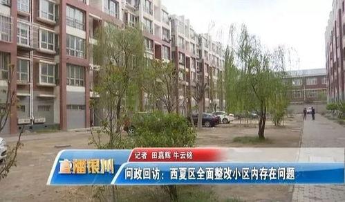 银川西夏区最新爆料,揭秘区域发展新动态与未来规划 第2张 银川西夏区最新爆料,揭秘区域发展新动态与未来规划 第2张