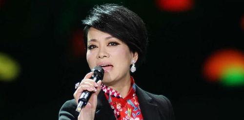 毛阿敏最新爆料,娱乐圈背后的真实故事