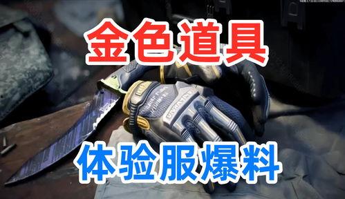 体验服最新爆料暗区,体验服爆料揭示神秘生成机制 第2张 体验服最新爆料暗区,体验服爆料揭示神秘生成机制 第2张