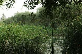 鲁儿山在线观看,揭秘神秘山川,探寻自然奇观之旅 第2张 鲁儿山在线观看,揭秘神秘山川,探寻自然奇观之旅 第2张