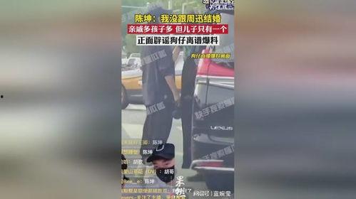 陈坤狗仔爆料视频在线观看,揭秘娱乐圈幕后真相  第3张