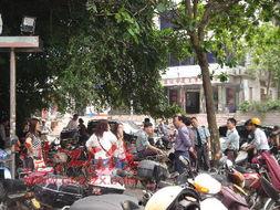 湛江赤坎最新新闻爆料,最新爆料揭示惊人真相  第3张