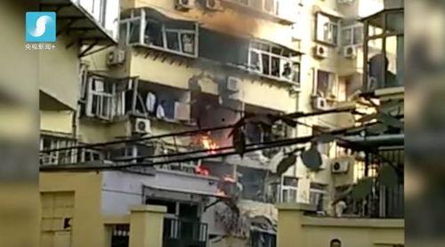 贵港宠物店爆料事件视频,惊人内幕揭露行业黑幕  第1张