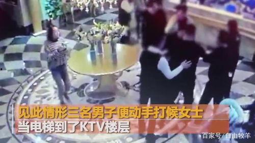 贵港宠物店爆料事件视频,惊人内幕揭露行业黑幕  第2张