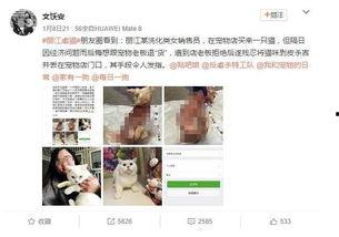 贵港宠物店爆料事件视频,惊人内幕揭露行业黑幕  第3张