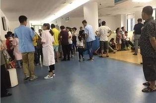 宁波小学爆料事件最新,揭开校园安全与管理的隐秘面纱 第3张 宁波小学爆料事件最新,揭开校园安全与管理的隐秘面纱 第3张