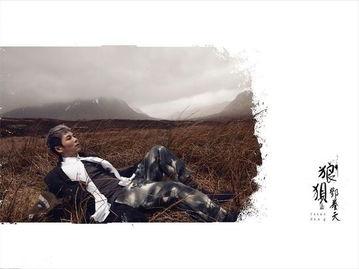 《狼狈》在线观看,揭秘人性黑暗面的悬疑惊悚之旅  第2张