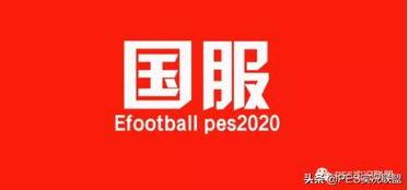 网易五周年爆料视频大全,揭秘爆料视频大全，精彩瞬间回顾  第2张